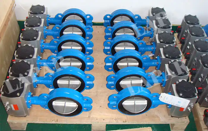 LPB11 Lapar EPT Butterfly Valve