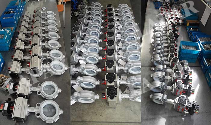 Van bướm lót Teflon LPB15