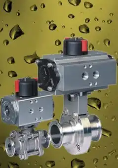 Sanitary Valves